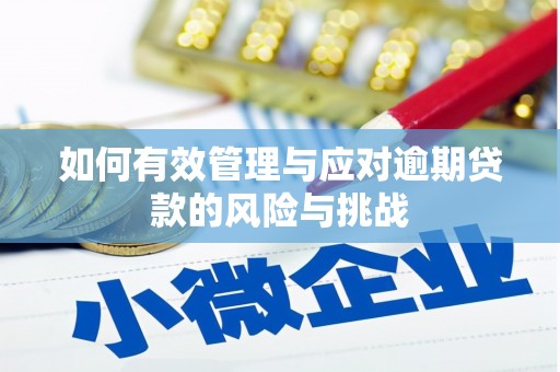 馆陶如何有效管理与应对逾期贷款的风险与挑战