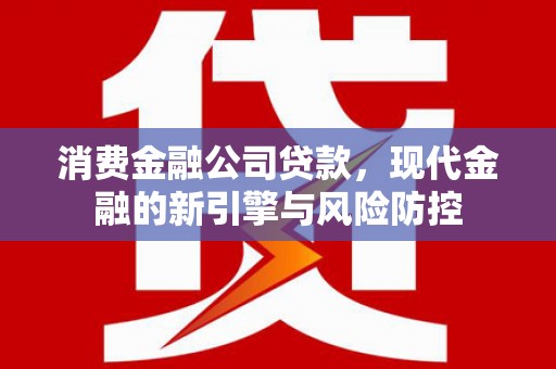 馆陶消费金融公司贷款，现代金融的新引擎与风险防控