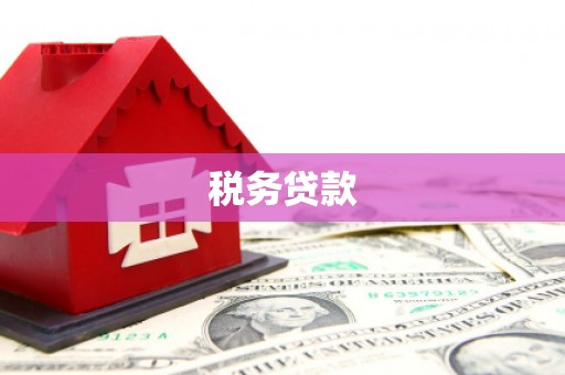 馆陶税务贷款