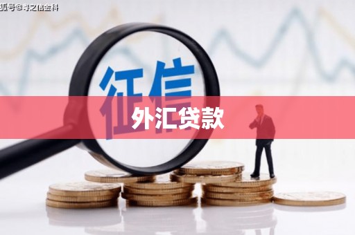 馆陶外汇贷款