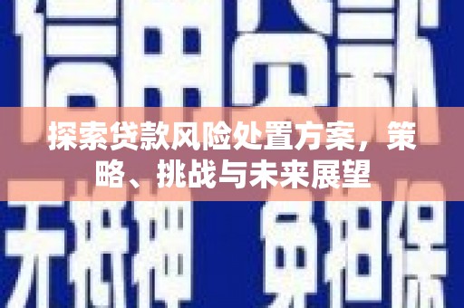 馆陶探索贷款风险处置方案，策略、挑战与未来展望