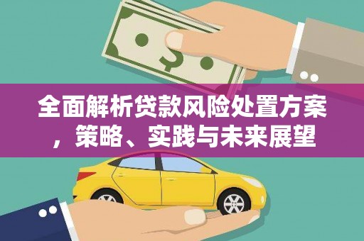 馆陶全面解析贷款风险处置方案，策略、实践与未来展望