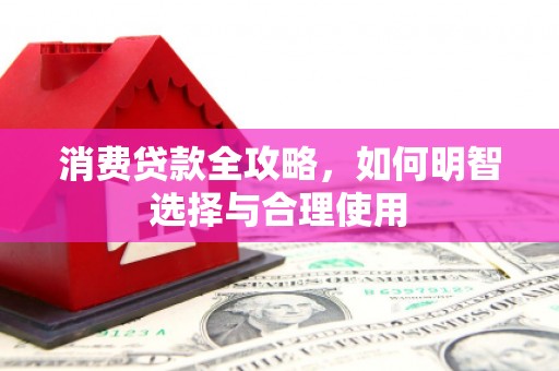 馆陶消费贷款全攻略，如何明智选择与合理使用