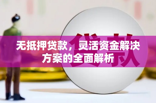 馆陶无抵押贷款，灵活资金解决方案的全面解析