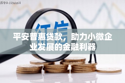 馆陶平安普惠贷款，助力小微企业发展的金融利器
