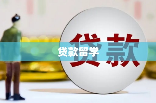 馆陶贷款留学