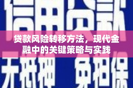 馆陶贷款风险转移方法，现代金融中的关键策略与实践