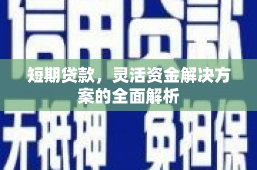 馆陶短期贷款，灵活资金解决方案的全面解析