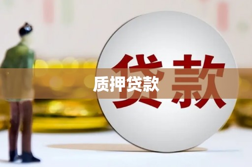 馆陶质押贷款