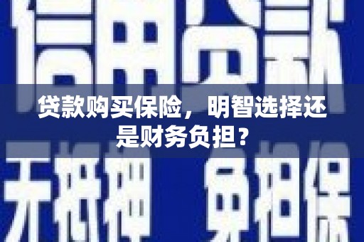馆陶贷款购买保险，明智选择还是财务负担？