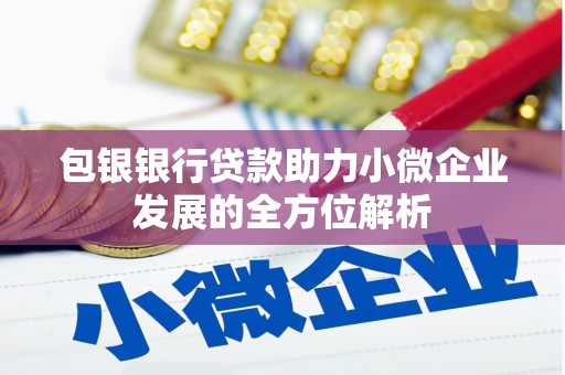馆陶包银银行贷款助力小微企业发展的全方位解析