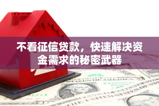 馆陶不看征信贷款，快速解决资金需求的秘密武器