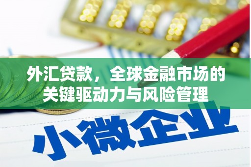 馆陶外汇贷款，全球金融市场的关键驱动力与风险管理