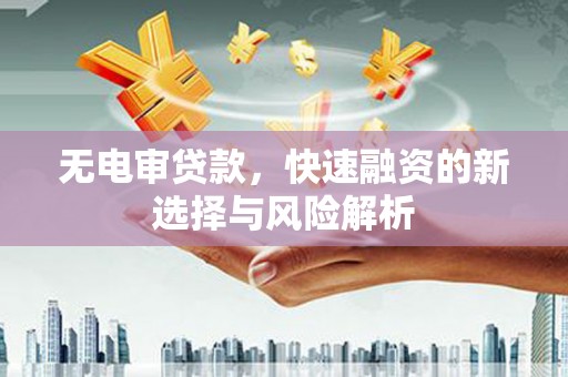 馆陶无电审贷款，快速融资的新选择与风险解析