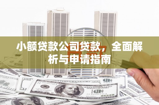 馆陶小额贷款公司贷款，全面解析与申请指南