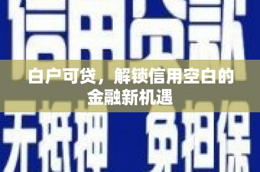 馆陶白户可贷，解锁信用空白的金融新机遇
