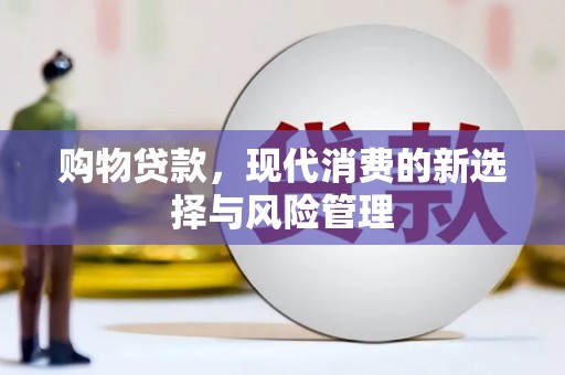 馆陶购物贷款，现代消费的新选择与风险管理