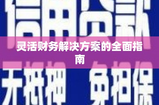 馆陶灵活财务解决方案的全面指南