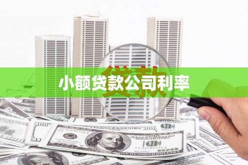 馆陶小额贷款公司利率