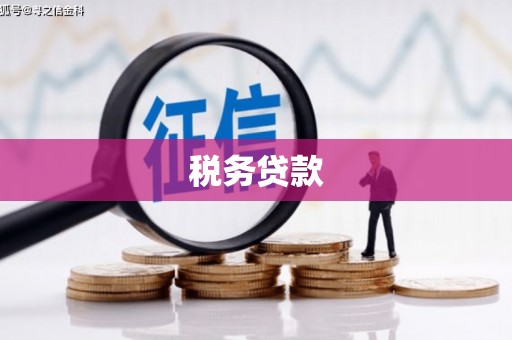馆陶税务贷款