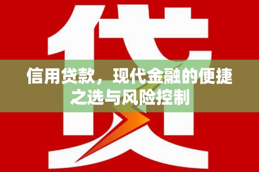 馆陶信用贷款，现代金融的便捷之选与风险控制