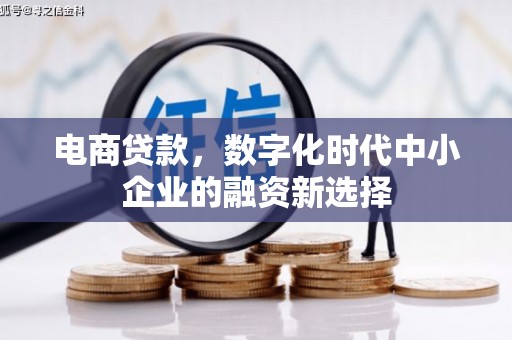 馆陶电商贷款，数字化时代中小企业的融资新选择