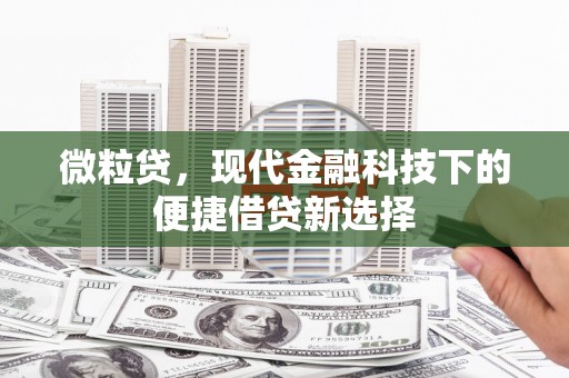 馆陶微粒贷，现代金融科技下的便捷借贷新选择