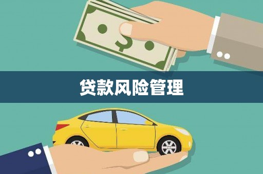 馆陶贷款风险管理