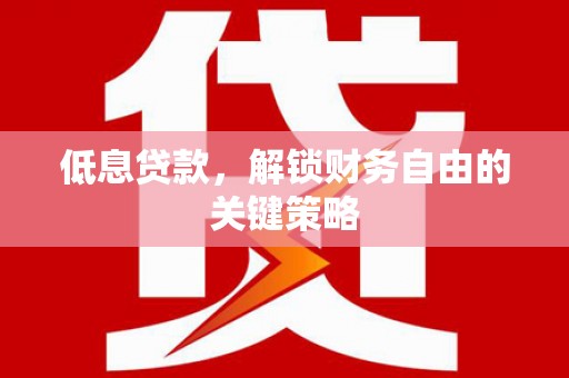 馆陶低息贷款，解锁财务自由的关键策略