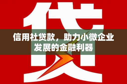 馆陶信用社贷款，助力小微企业发展的金融利器