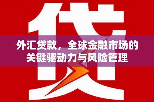 馆陶外汇贷款，全球金融市场的关键驱动力与风险管理