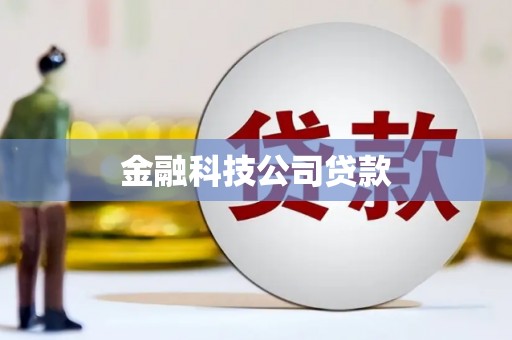 馆陶金融科技公司贷款