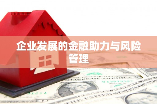 馆陶企业发展的金融助力与风险管理