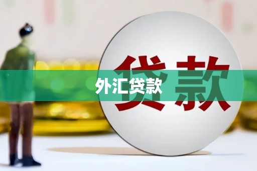 馆陶外汇贷款