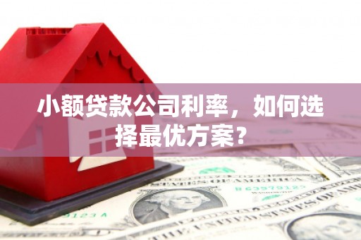 馆陶小额贷款公司利率，如何选择最优方案？