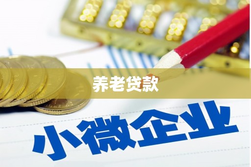 馆陶养老贷款