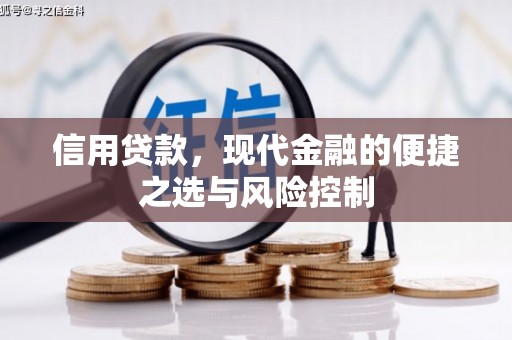 馆陶信用贷款，现代金融的便捷之选与风险控制