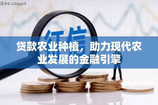 馆陶贷款农业种植，助力现代农业发展的金融引擎