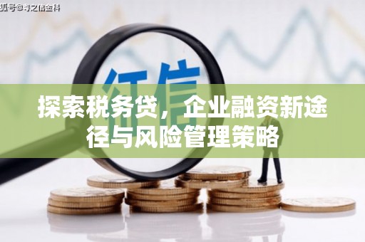 馆陶探索税务贷，企业融资新途径与风险管理策略
