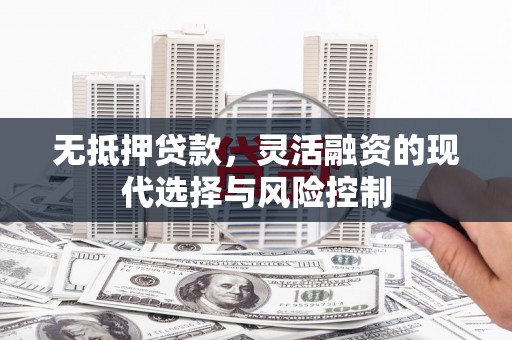 馆陶无抵押贷款，灵活融资的现代选择与风险控制