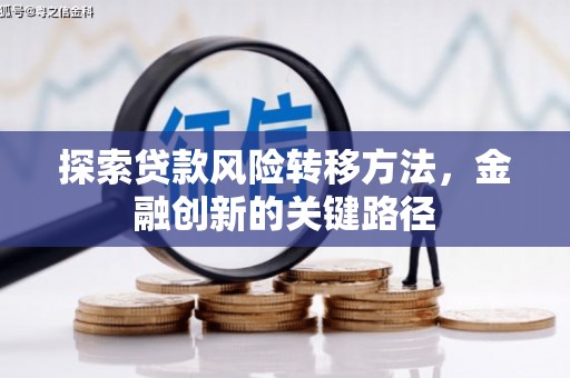 馆陶探索贷款风险转移方法，金融创新的关键路径