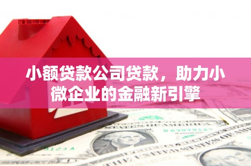 馆陶小额贷款公司贷款，助力小微企业的金融新引擎