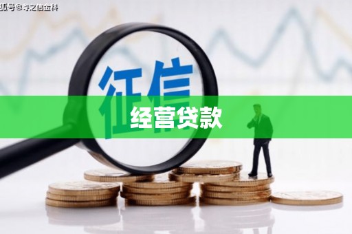 馆陶经营贷款