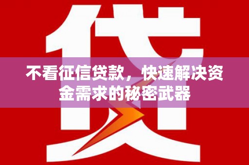 馆陶不看征信贷款，快速解决资金需求的秘密武器