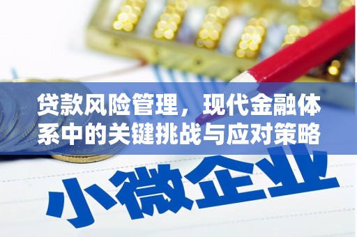 馆陶贷款风险管理，现代金融体系中的关键挑战与应对策略