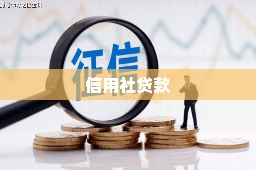 馆陶信用社贷款