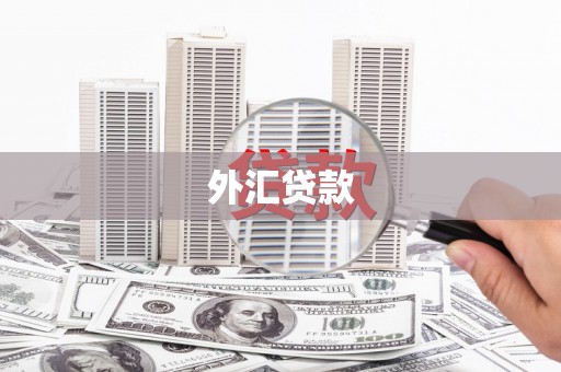 馆陶外汇贷款