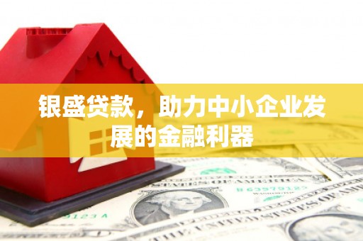 馆陶银盛贷款，助力中小企业发展的金融利器