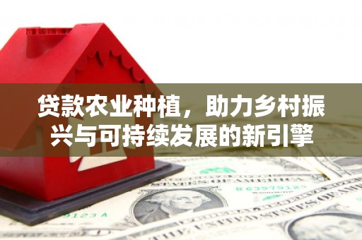 馆陶贷款农业种植，助力乡村振兴与可持续发展的新引擎
