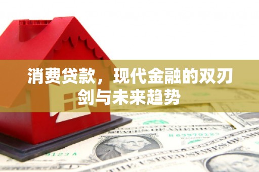 馆陶消费贷款，现代金融的双刃剑与未来趋势